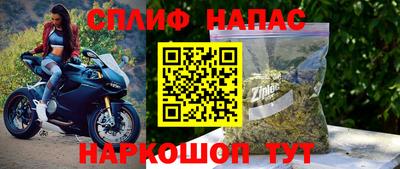 гашик Пыть-Ях