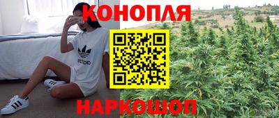 гашик Пыть-Ях