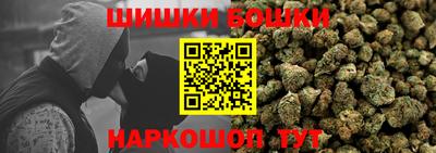 индика Кудымкар